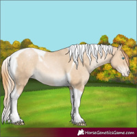 Horse Color:Brown Snowdrop Pearl Tobiano Snowflake Varnish Rabicano 