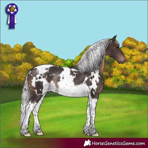 Horse Color:White Spotted Silver Brown Tobiano Rabicano 