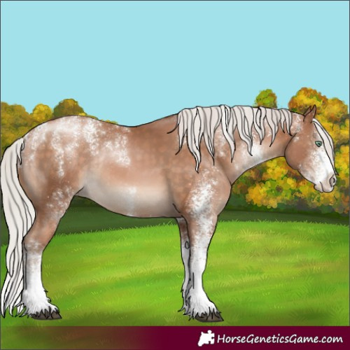 Horse Color:Powder White White Spotted Silver Brown Pearl Rabicano