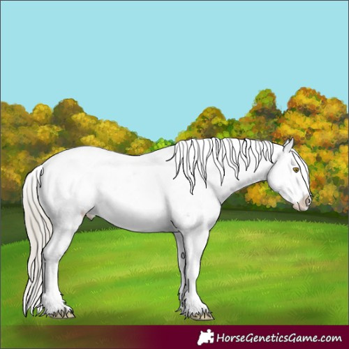 Horse Color:Silver Buckskin Dun Sabino