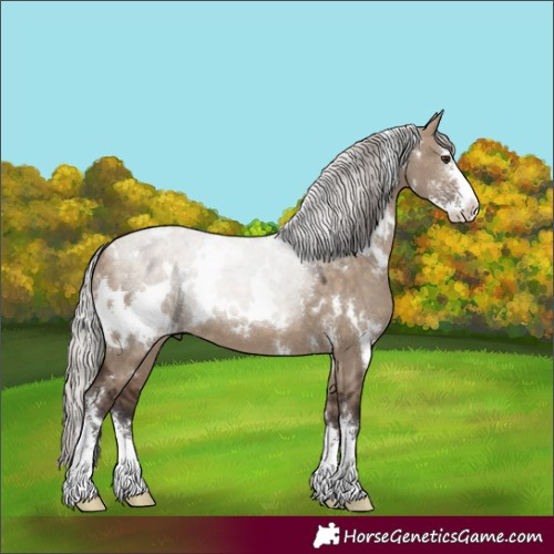 Horse Color:White Spotted Silver Brown Dun Sabino 