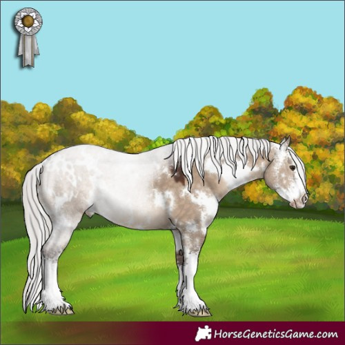 Horse Color:White Spotted Silver Brown Dun Sabino 