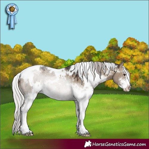Horse Color:White Spotted Silver Brown Dun Sabino 