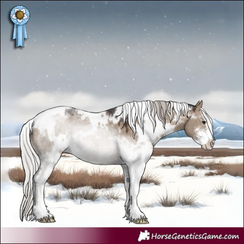 Horse Color:White Spotted Silver Brown Dun Sabino 