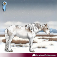 Horse Color:White Spotted Silver Brown Dun Sabino 