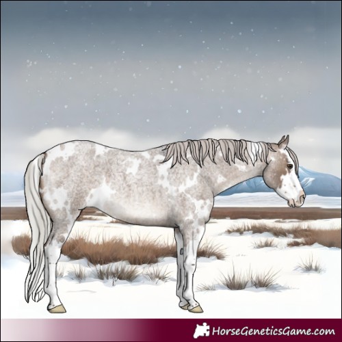 Horse Color:White Spotted Silver Brown Roan Dun Splash 
