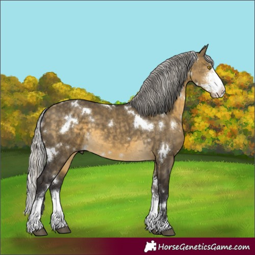 Horse Color:White Spotted Silver Buckskin Dun Sabino 