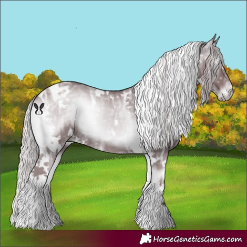 Horse Color:White Spotted Chocolate Silver Blue Onyx Chinchilla Ice Tobiano Rabicano 