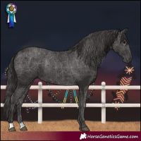 Horse Color:Smoky Black