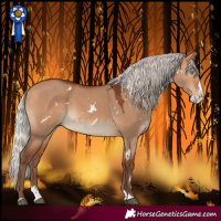 Horse Color:White Spotted Silver Bay Dun Splash Rabicano 