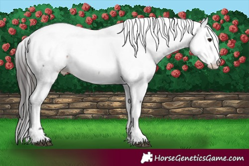 Horse Color:Brown Ice Fewspot 