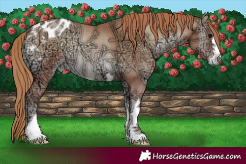Horse Color:Blue Onyx Ice Pearl Blanket 