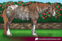 Horse Color:Blue Onyx Ice Pearl Blanket