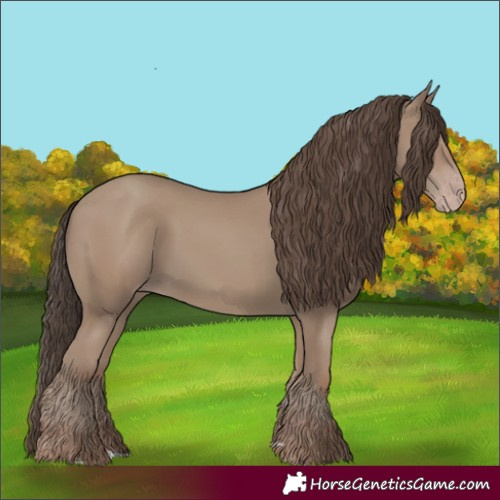 Horse Color:Classic Champagne 