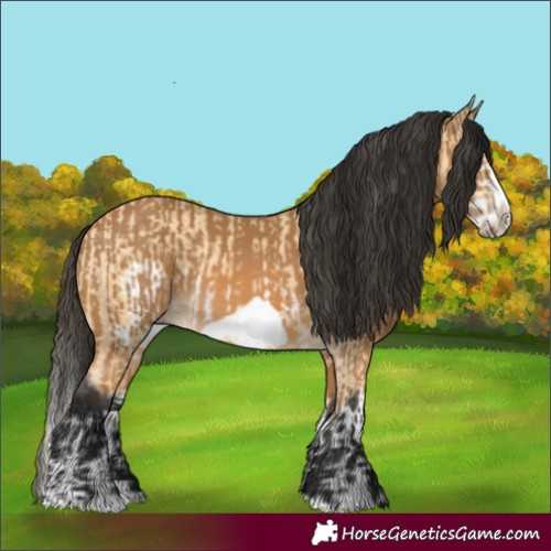 Horse Color:Buckskin Splash Frame and Gray Buckskin Splash Frame