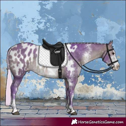 Horse Color:Watercolor Silver Brown Sabino Appaloosa Rabicano