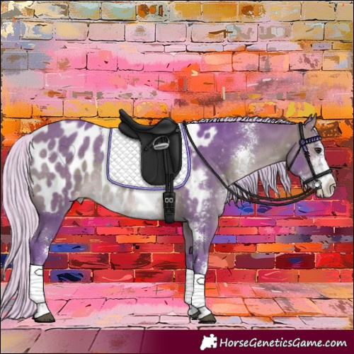 Horse Color:Watercolor Silver Brown Sabino Appaloosa Rabicano 