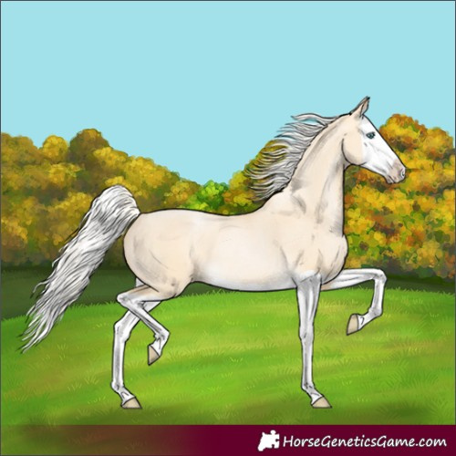 Horse Color:Silver Buckskin Pearl Dun Splash Rabicano