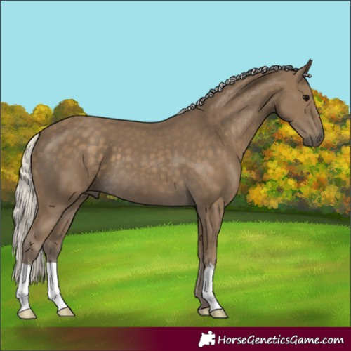 Horse Color:Silver Smoky Black 