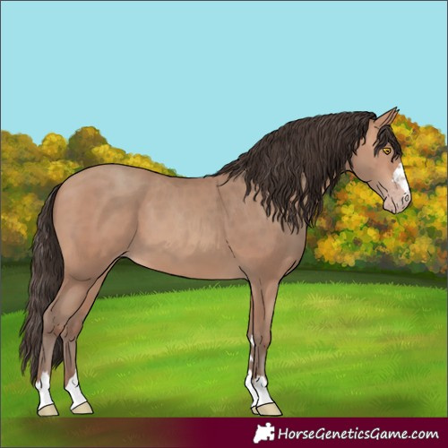 Horse Color:Unknown 