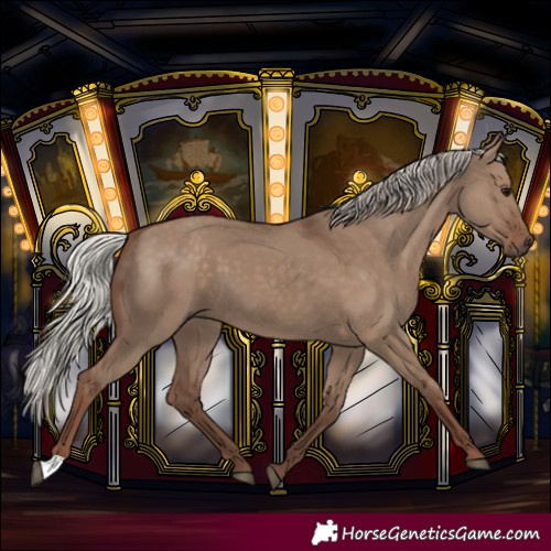 Horse Color:Silver Grullo 
