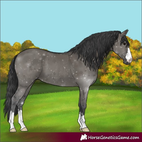Horse Color:Grullo 