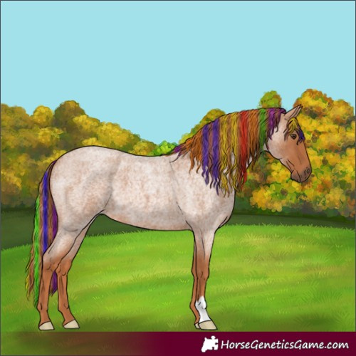 Horse Color:Painted Red Roan 