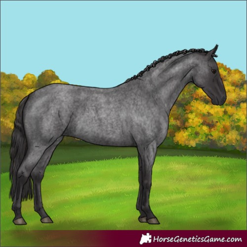 Horse Color:Smoky Blue Roan
