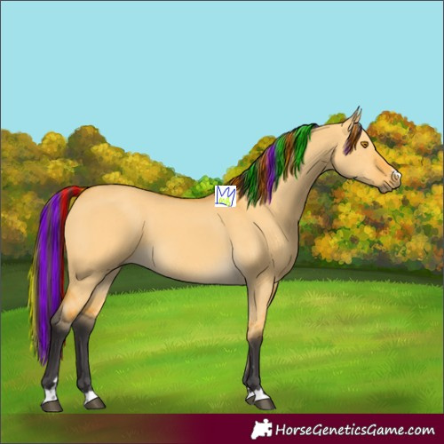 Horse Color:Painted Buckskin Dun 