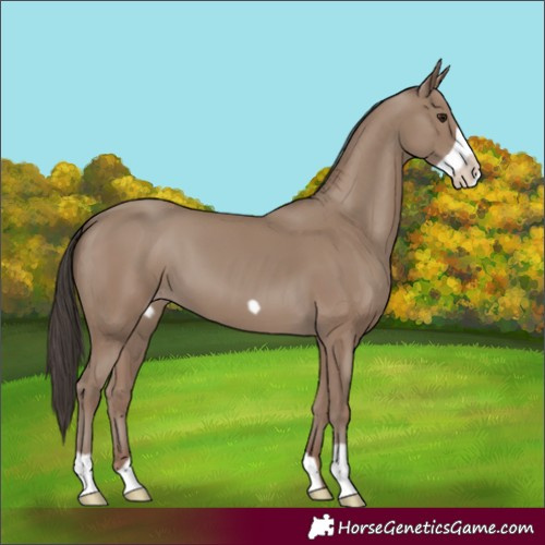 Horse Color:Classic Champagne Frame