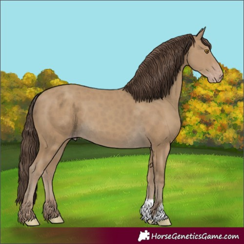 Horse Color:Classic Cream Champagne 