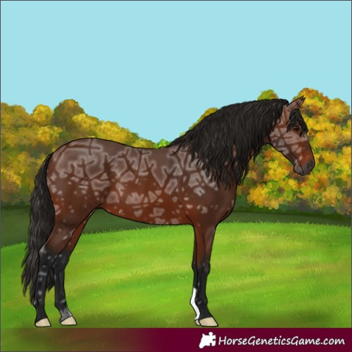 Horse Color:Gray Bay Ice 