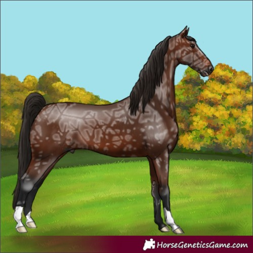 Horse Color:Gray Bay Ice 