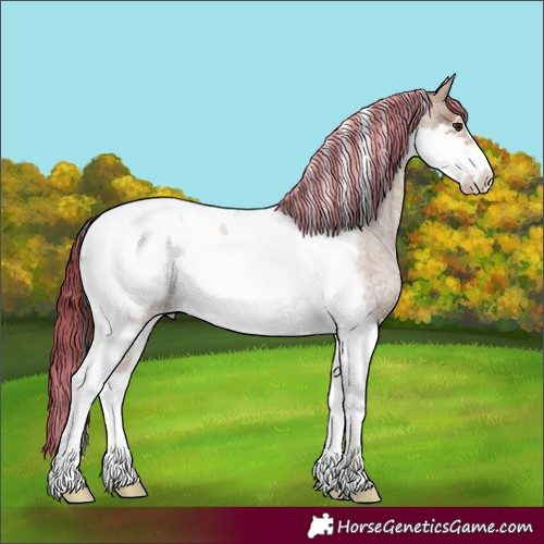 Horse Color:Painted Classic Champagne Roan Tobiano Frame Rabicano 
