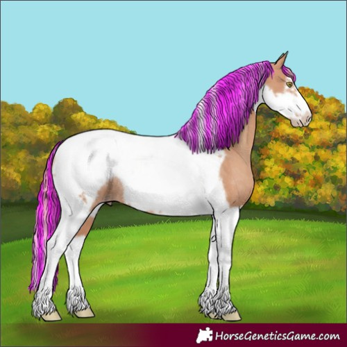 Horse Color:Painted Gold Champagne Tobiano Frame Rabicano 
