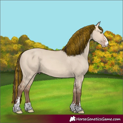 Horse Color:Painted Amber Champagne Dun 