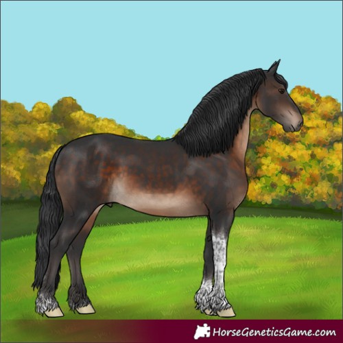 Horse Color:Brown Tobiano Rabicano 