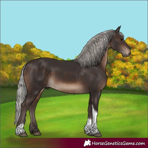 Horse Color:Silver Brown Tobiano Rabicano 