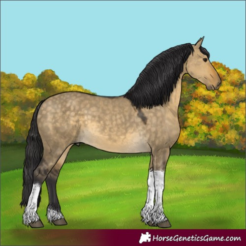 Horse Color:Buckskin Dun Tobiano 