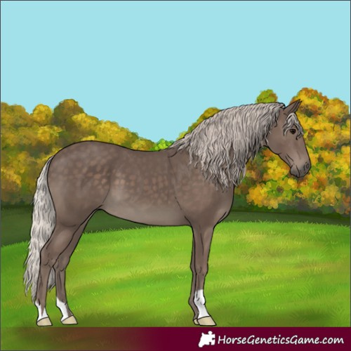 Horse Color:Silver Black 