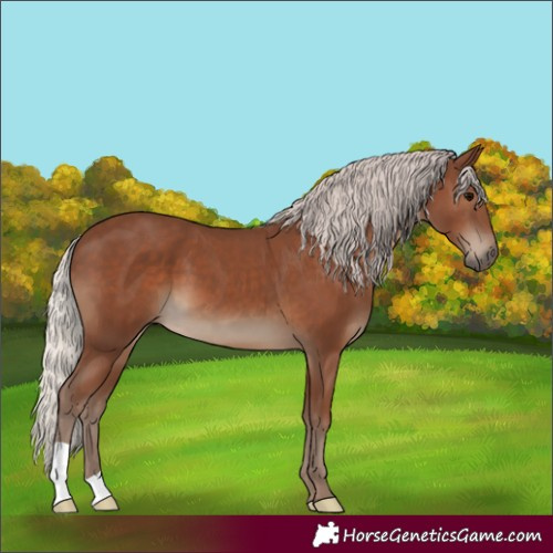 Horse Color:Silver Black 
