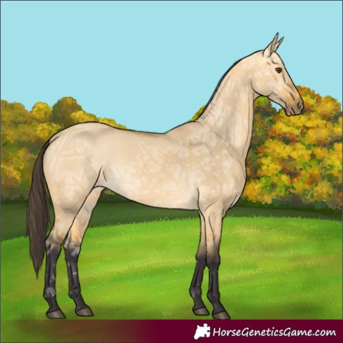 Horse Color:Buckskin Ice Dun 