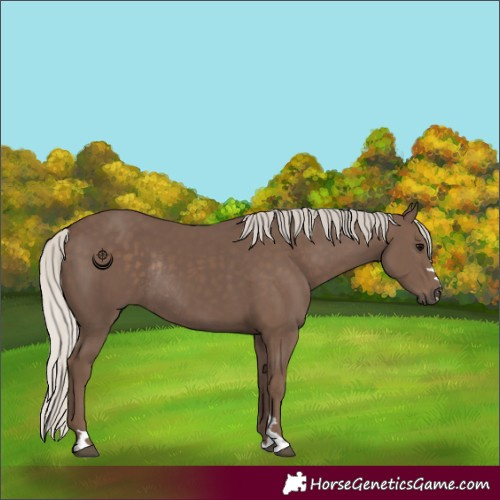 Horse Color:Silver Black Rabicano 