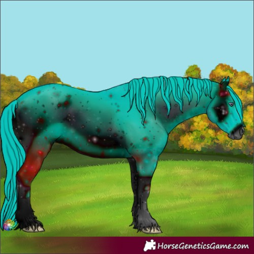Horse Color:ERROR: UNKNOWN ANOMALY