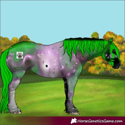 Horse Color:ERROR: UNKNOWN ANOMALY