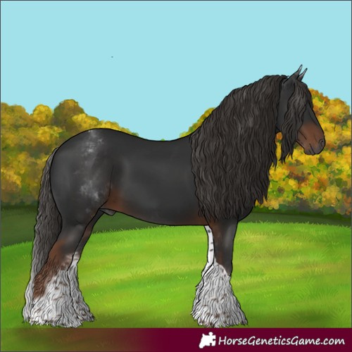 Horse Color:Gray White Spotted Liver Chestnut Tobiano 