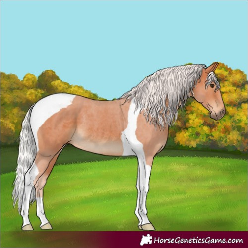 Horse Color:Silver Bay Tobiano Rabicano