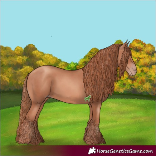 Horse Color:Gold Champagne 