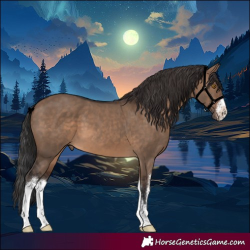 Horse Color:White Spotted Brown Dun 