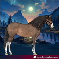 Horse Color:White Spotted Brown Dun 
